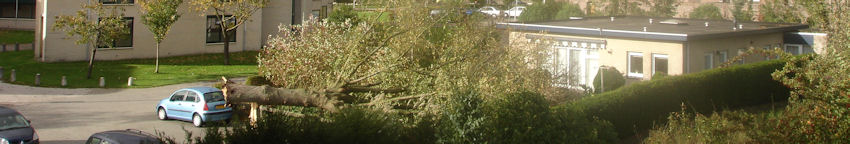 Storm met windkracht 11 boven Boswijk