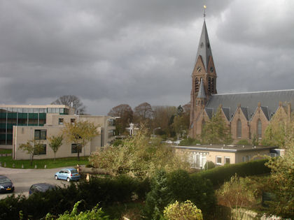 Hier is de boom geveld door de storm