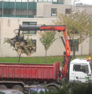 Opruimen stormschade
