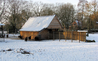 Dierenweide sappemeer is gerenoveerd