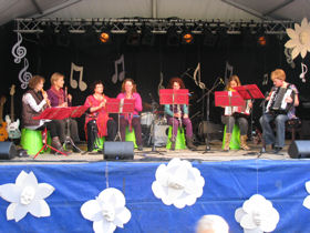 Kartonfestival 2010 in Sappemeer