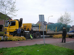 Koningsboom 2014 in Boswijk