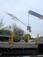 Koningsboom 2014 in Boswijk