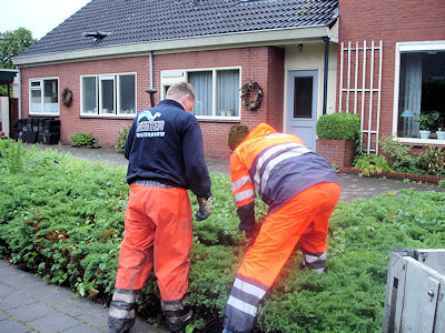 Meerpalen in BoswijK