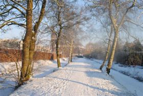 Winter in Boswijk 2012