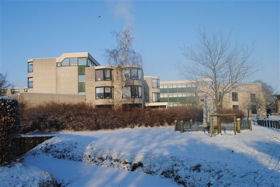 Winter in Boswijk 2012