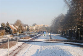 Winter in Boswijk 2012