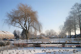 Winter in Boswijk 2012