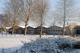 Winter in Boswijk 2012