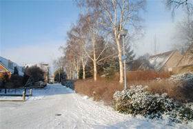 Winter in Boswijk 2012